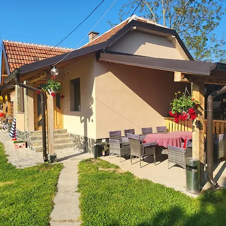 Dvor Villa Donja Toponica Exterior photo
