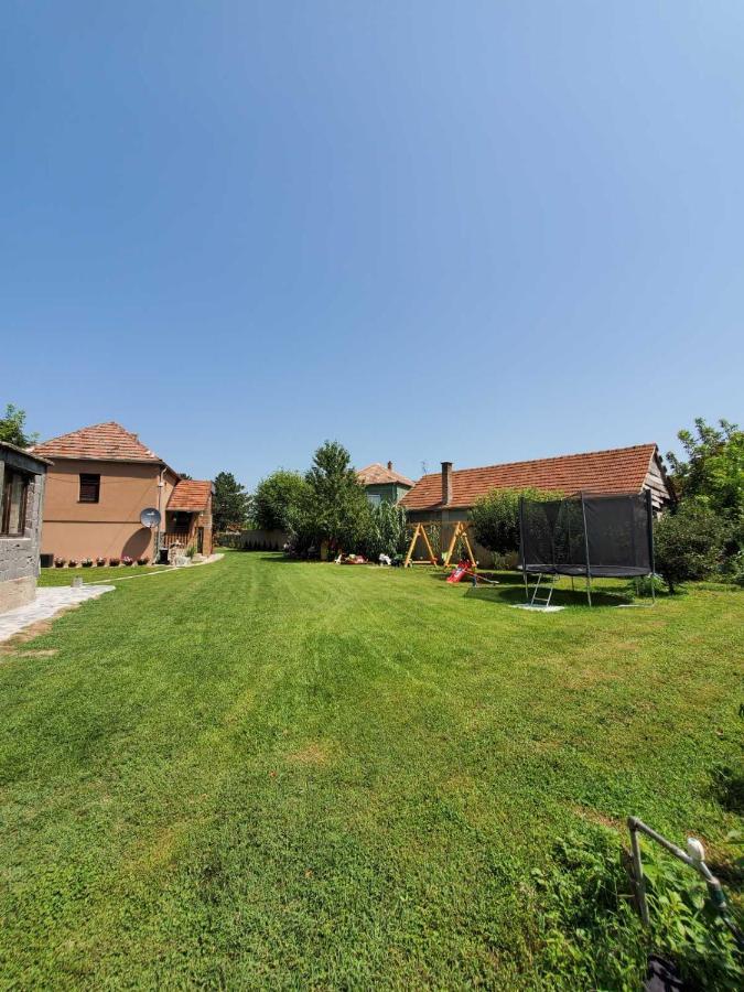 Holiday home Dvor Donja Toponica